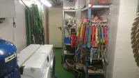 मोठ्या प्रमाणात वाहक विक्रीसाठी