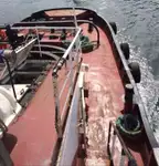 टोबोट विक्रीसाठी