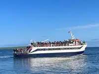 प्रवासी जहाज विक्रीसाठी