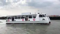 कॅटामारन विक्रीसाठी