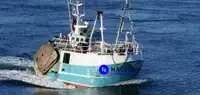 Beam trawler विक्रीसाठी