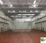 रो-रो जहाज विक्रीसाठी