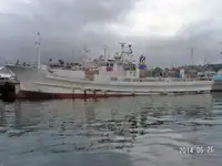 लाँगलाइनर विक्रीसाठी