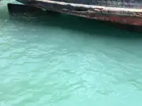 टोबोट विक्रीसाठी