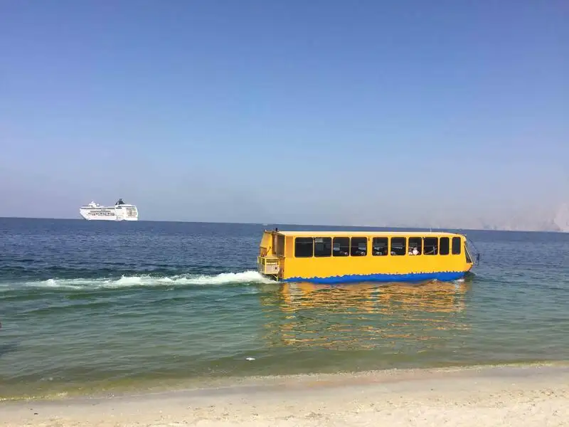 उभयचर विक्रीसाठी