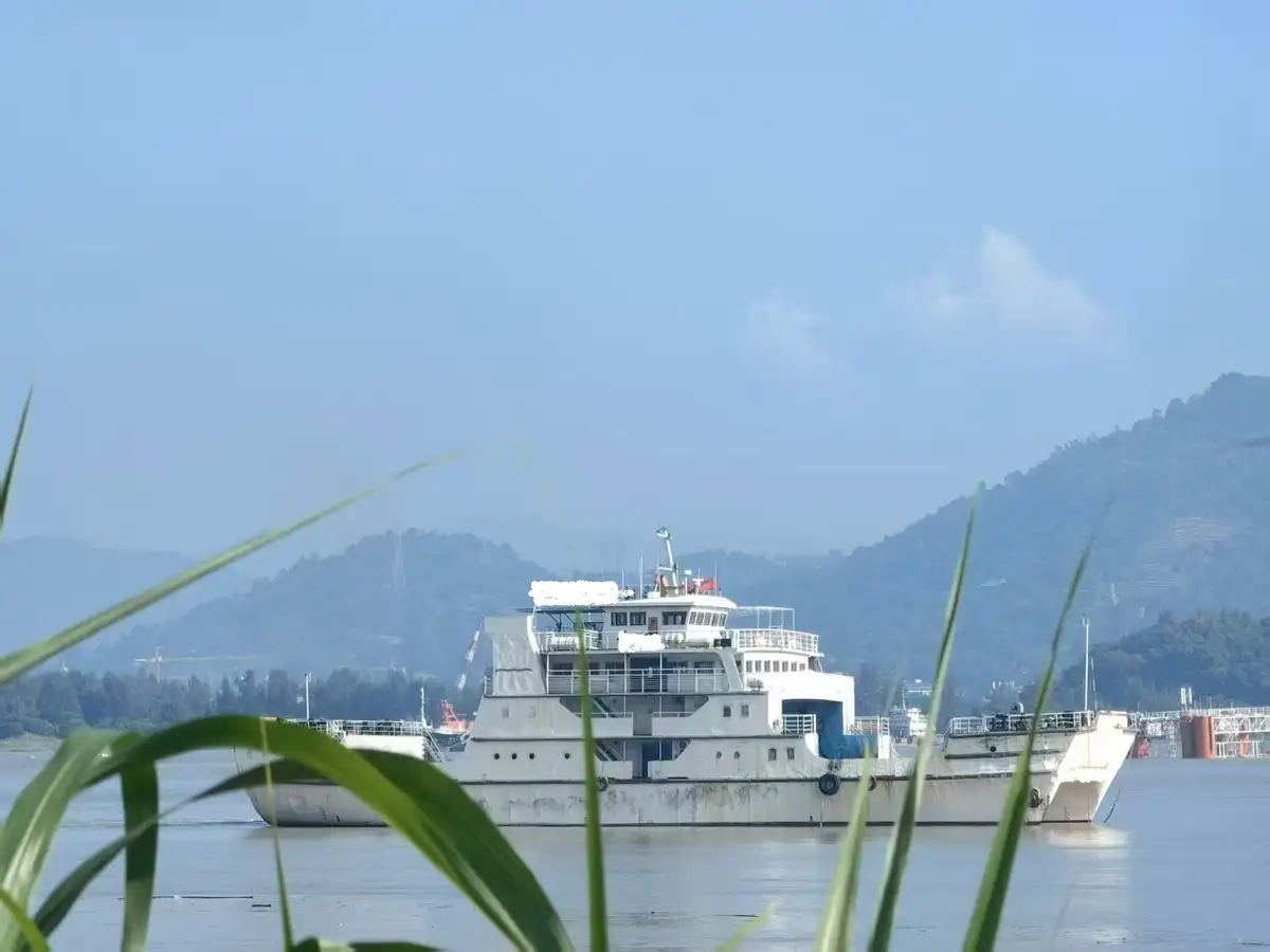 Catamaran विक्रीसाठी