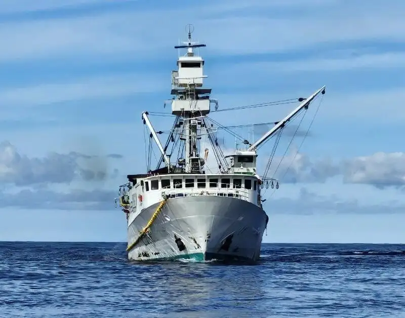 सीनर विक्रीसाठी