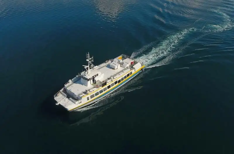 Catamaran विक्रीसाठी