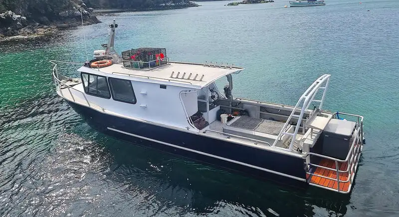 मासेमारी ट्रॉलर विक्रीसाठी