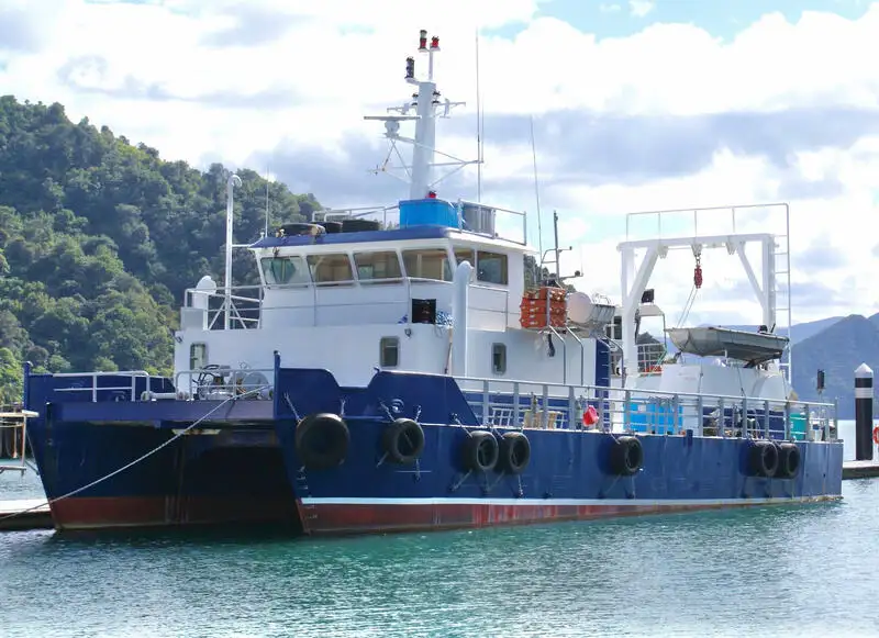 Catamaran विक्रीसाठी