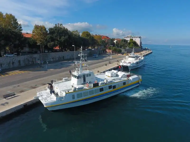 Catamaran विक्रीसाठी