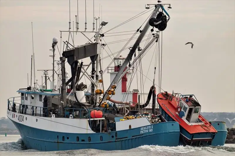 सीनर विक्रीसाठी