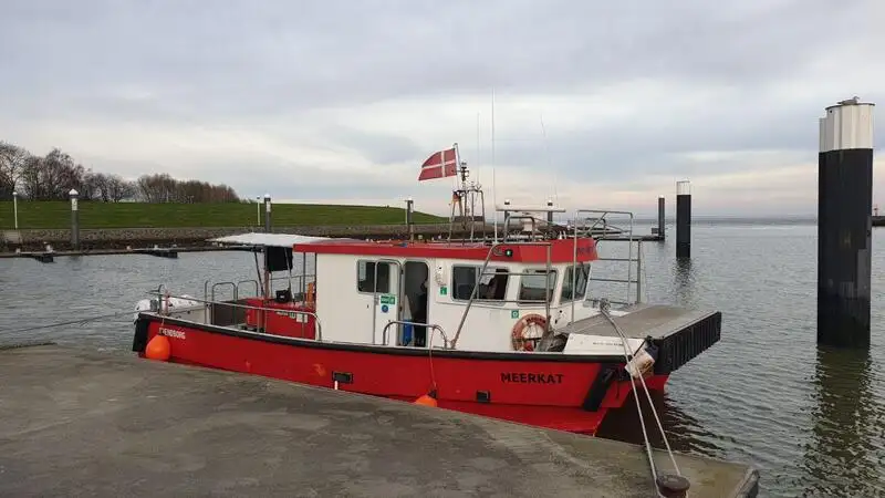 Catamaran विक्रीसाठी