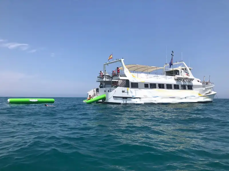 फेरी जहाज विक्रीसाठी