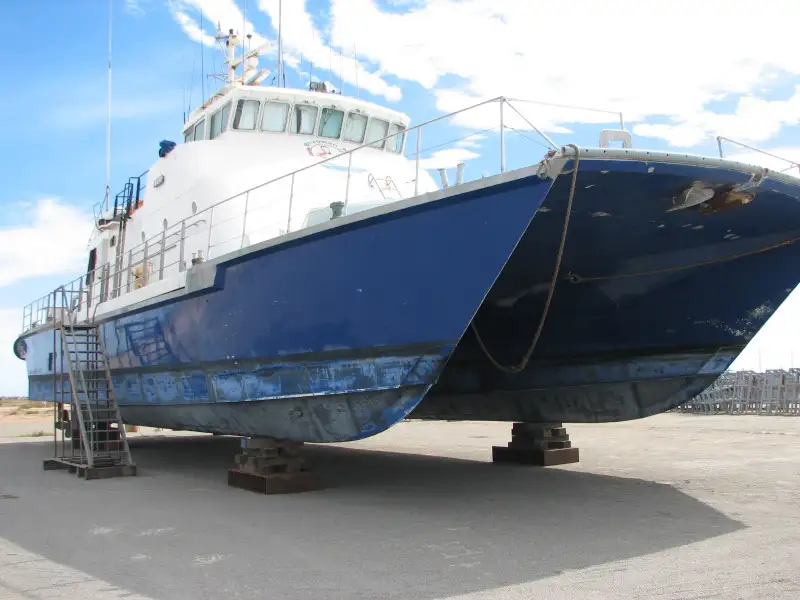 Catamaran विक्रीसाठी