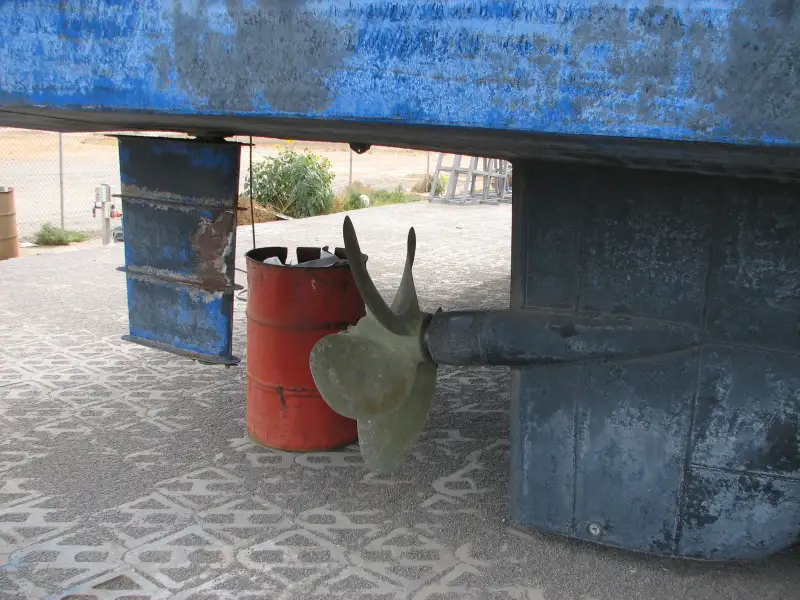 Catamaran विक्रीसाठी