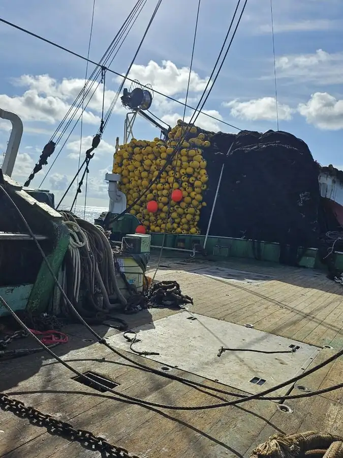 सीनर विक्रीसाठी