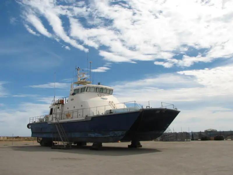 Catamaran विक्रीसाठी