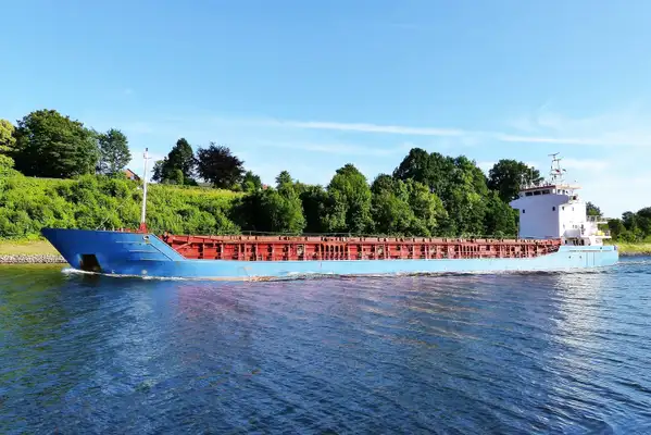 Bulk carrier for sale