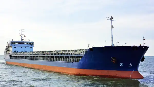 Bulk carrier for sale