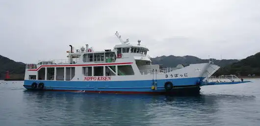 RORO ship for sale