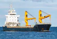 मोठ्या प्रमाणात वाहक विक्रीसाठी