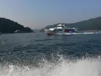 फेरी जहाज विक्रीसाठी