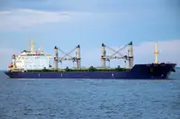 मोठ्या प्रमाणात वाहक विक्रीसाठी