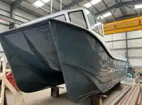 Catamaran विक्रीसाठी