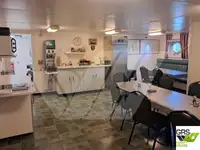 RORO जहाज विक्रीसाठी