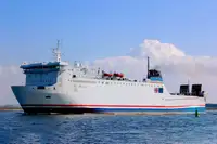 मोठ्या प्रमाणात वाहक विक्रीसाठी