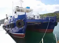 Catamaran विक्रीसाठी