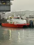 Catamaran विक्रीसाठी