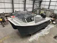 Catamaran विक्रीसाठी