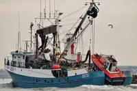 सीनर विक्रीसाठी