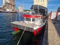 Catamaran विक्रीसाठी
