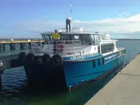 Catamaran विक्रीसाठी