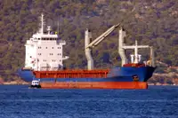 मोठ्या प्रमाणात वाहक विक्रीसाठी