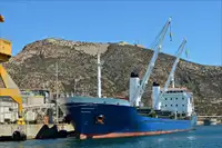 मोठ्या प्रमाणात वाहक विक्रीसाठी