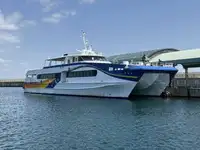 Catamaran विक्रीसाठी