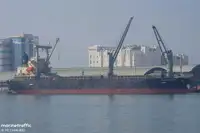 मोठ्या प्रमाणात वाहक विक्रीसाठी