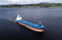 मोठ्या प्रमाणात वाहक विक्रीसाठी