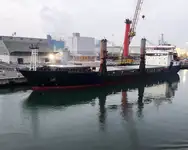 मोठ्या प्रमाणात वाहक विक्रीसाठी